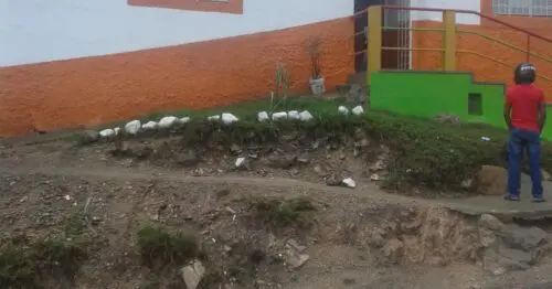 COLEGIO BILINGUE DE SOACHA ROSALIA VIDAL DE RICO BOGOTÁ COLEGIO BILINGUE DE SOACHA ROSALIA VIDAL DE RICO BOGOTÁ